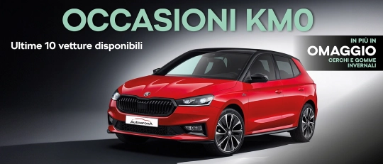 Promo KM0 Skoda