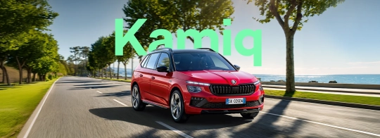 Skoda Kamiq