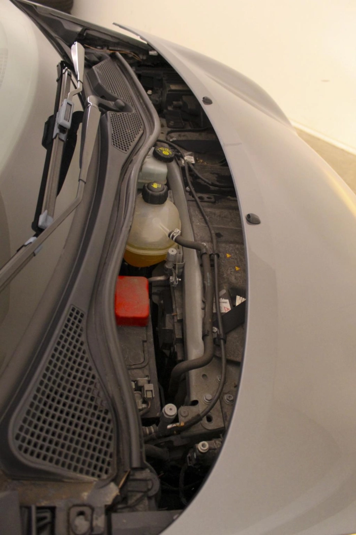 smart Forfour  0.9 t Youngster 90cv my18