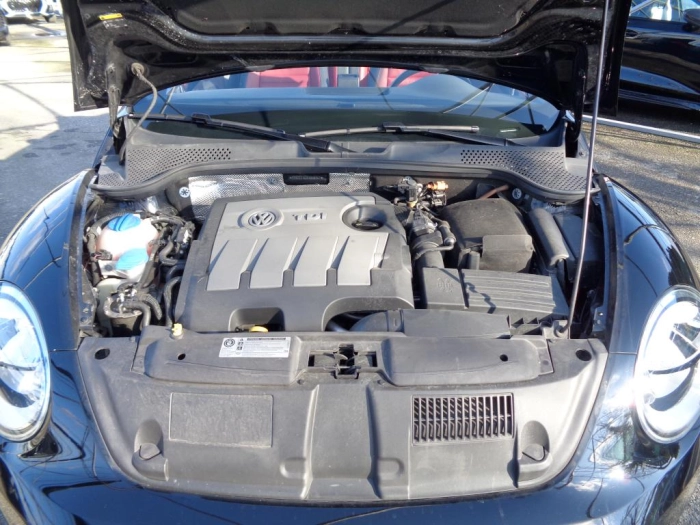 Volkswagen Maggiolino  Cabrio 1.6 tdi Design 105cv