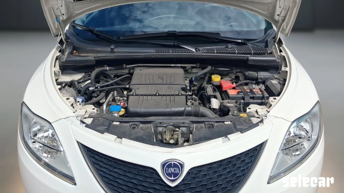 Lancia Ypsilon  1.2 Gold ecochic Gpl 69cv my19