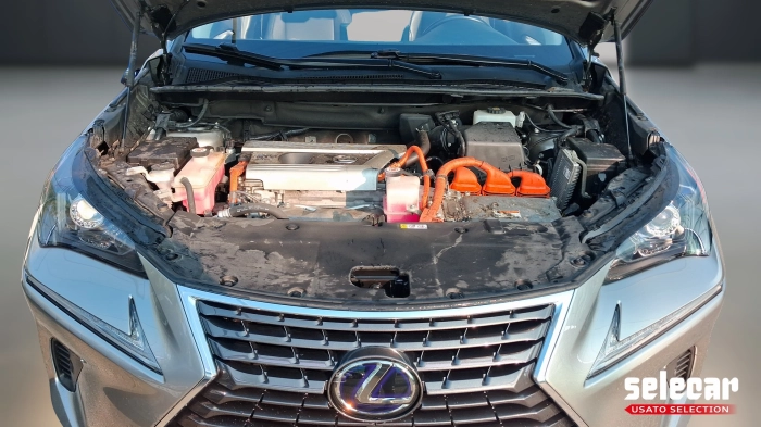 Lexus NX  300h 2.5 Premium 4wd cvt