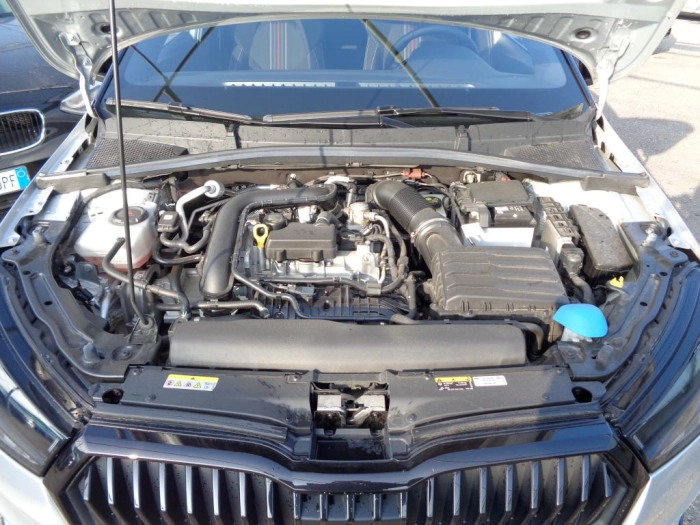 Skoda Fabia  1.0 tsi evo Monte Carlo 110cv