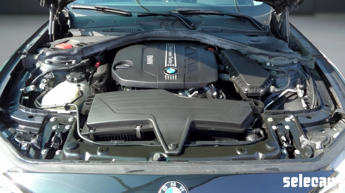 BMW Serie 116d 5p eff.dynamics Business