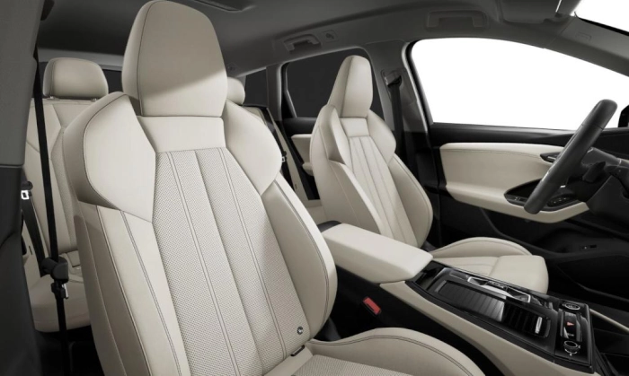 Audi Q6   SUV S line edition e-tron quattro  kW