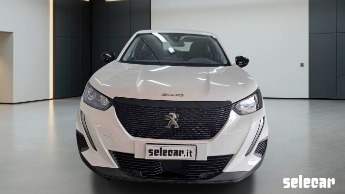 Peugeot 2008  1.5 bluehdi Active Pack s&s 110cv