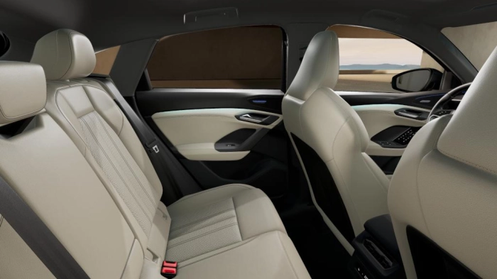 Audi Q6   Sportback S line edition e-tron quattro 315,00 kW