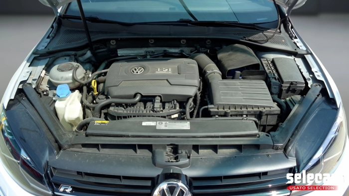 Volkswagen Golf  5p 2.0 tsi R 4motion 310cv dsg