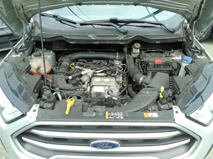 Ford EcoSport  1.0 ecoboost Plus 100cv my19