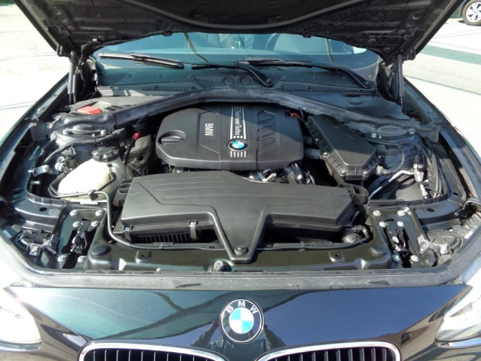 BMW Serie 116d 5p eff.dynamics Business