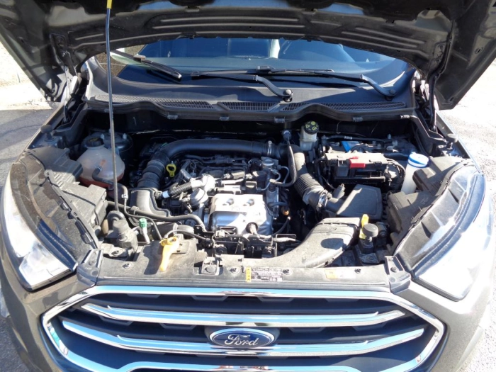 Ford EcoSport  1.0 ecoboost Titanium s&s 125cv aut