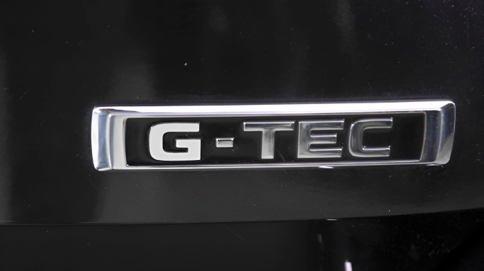 Skoda Scala  1.0 g-tec Ambition 90cv