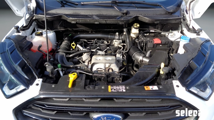 Ford EcoSport  1.0 ecoboost ST-Line Black Edition 