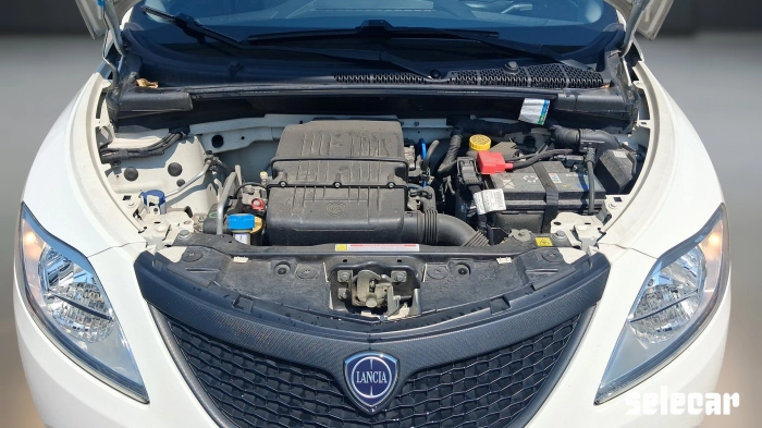 Lancia Ypsilon  1.2 Elefantino Blu s&s 69cv my19