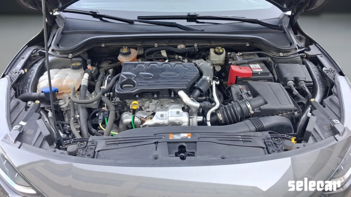 Ford Focus  1.5 ecoblue ST-Line X 120cv auto
