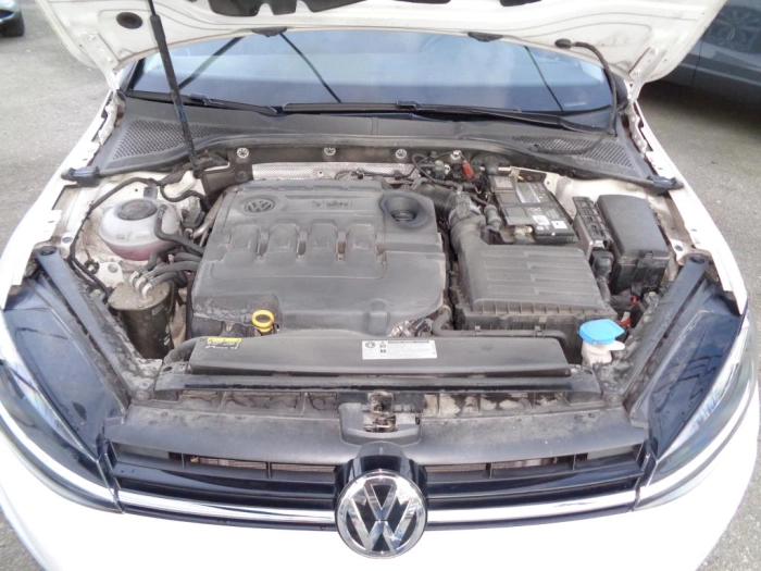 Volkswagen Golf  5p 1.6 tdi Executive 115cv