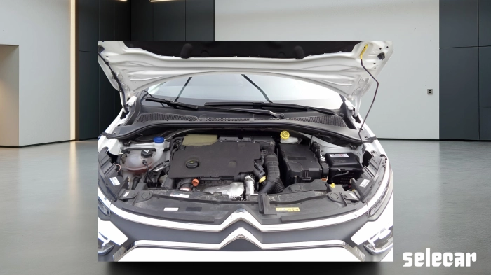 Citroen C3  1.5 bluehdi Shine Pack s&s 100cv 6m