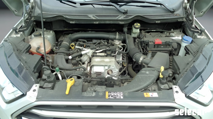 Ford EcoSport  1.0 ecoboost Plus 100cv my19