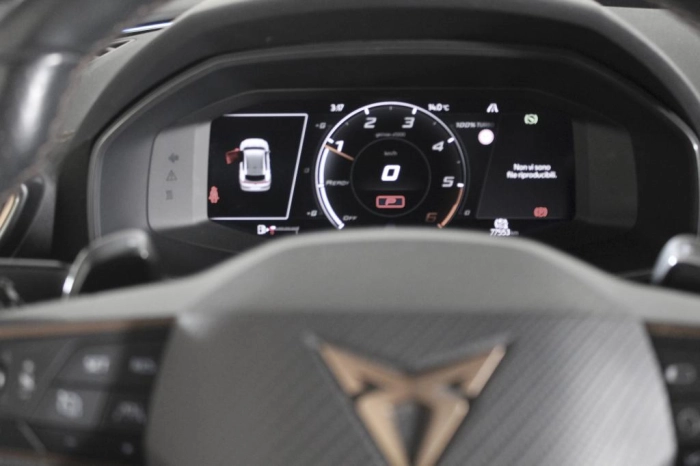 Cupra Formentor  2.0 tdi 4drive 150cv dsg