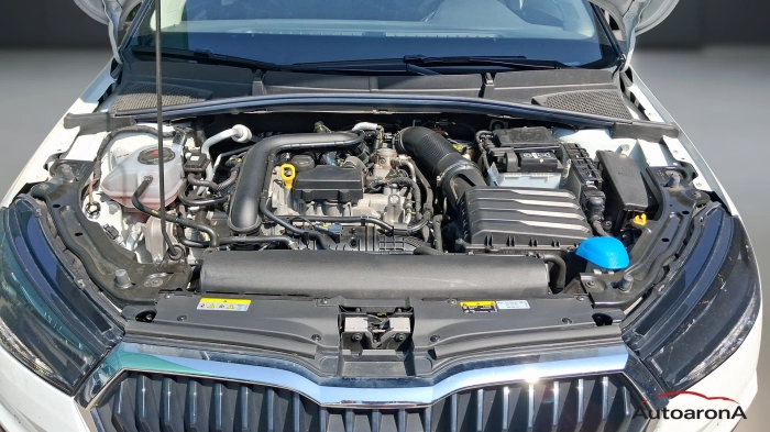 Skoda Fabia  1.0 tsi evo Style 110cv