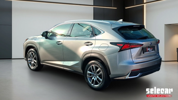 Lexus NX  300h 2.5 Premium 4wd cvt