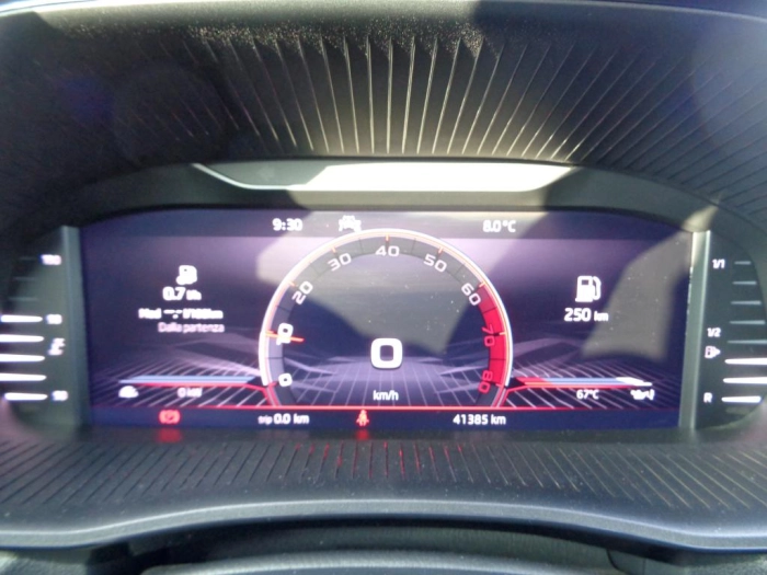 Skoda Fabia  1.0 tsi evo Monte Carlo 110cv