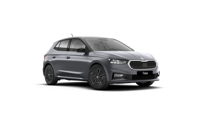 Skoda FABIA Style 1.0 MPI 59 kW (80 CV) 5 marce - manuale