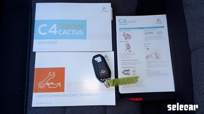 Citroen C4 1.2 puretech Shine s&s 110cv my18