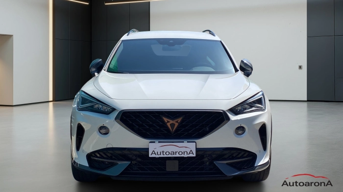Cupra Formentor  2.0 tdi 4drive 150cv dsg