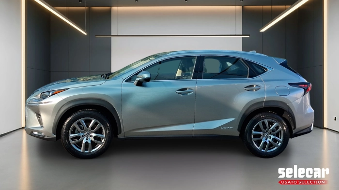 Lexus NX  300h 2.5 Premium 4wd cvt