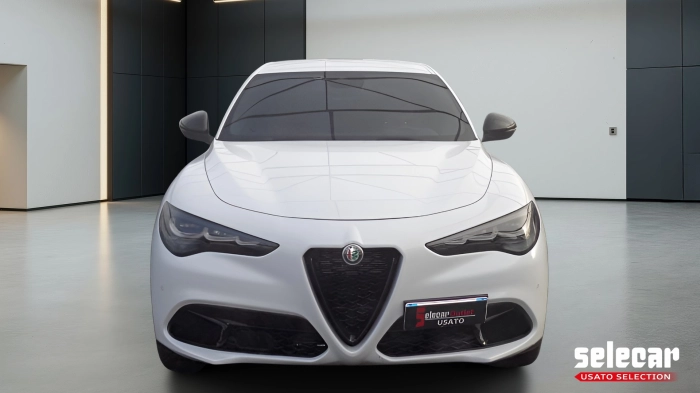 Alfa romeo Stelvio  2.2 t Veloce rwd 160cv auto