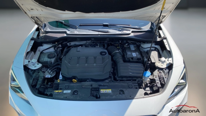 Cupra Formentor  2.0 tdi 4drive 150cv dsg