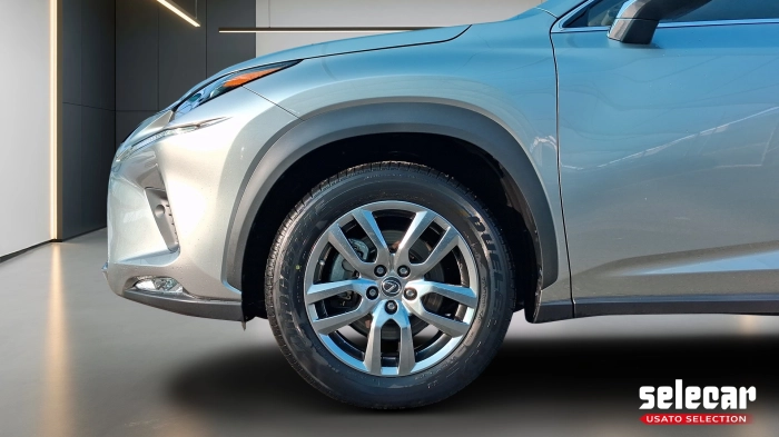 Lexus NX  300h 2.5 Premium 4wd cvt