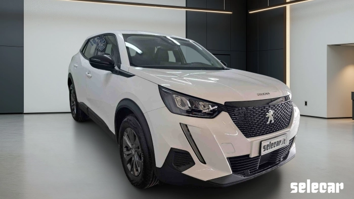 Peugeot 2008  1.5 bluehdi Active Pack s&s 110cv