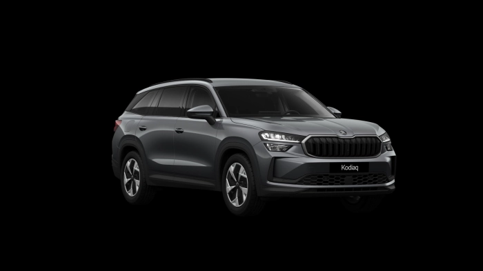 Skoda Kodiaq Executive 7 posti 2,0 TDI 110 kW (150 CV) 7 marce - DSG