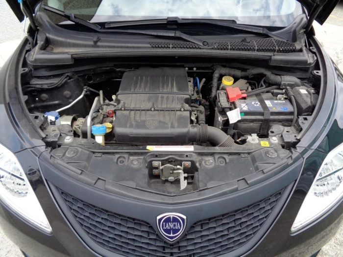 Lancia Ypsilon  1.2 Elefantino Blu s&s 69cv my19
