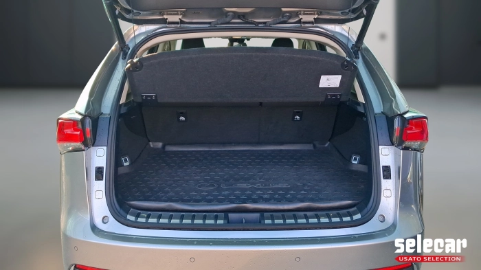 Lexus NX  300h 2.5 Premium 4wd cvt