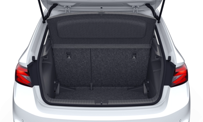 Skoda FABIA Young Edition 1,0 TSI 70 kW (95 CV) 5 marce - manuale