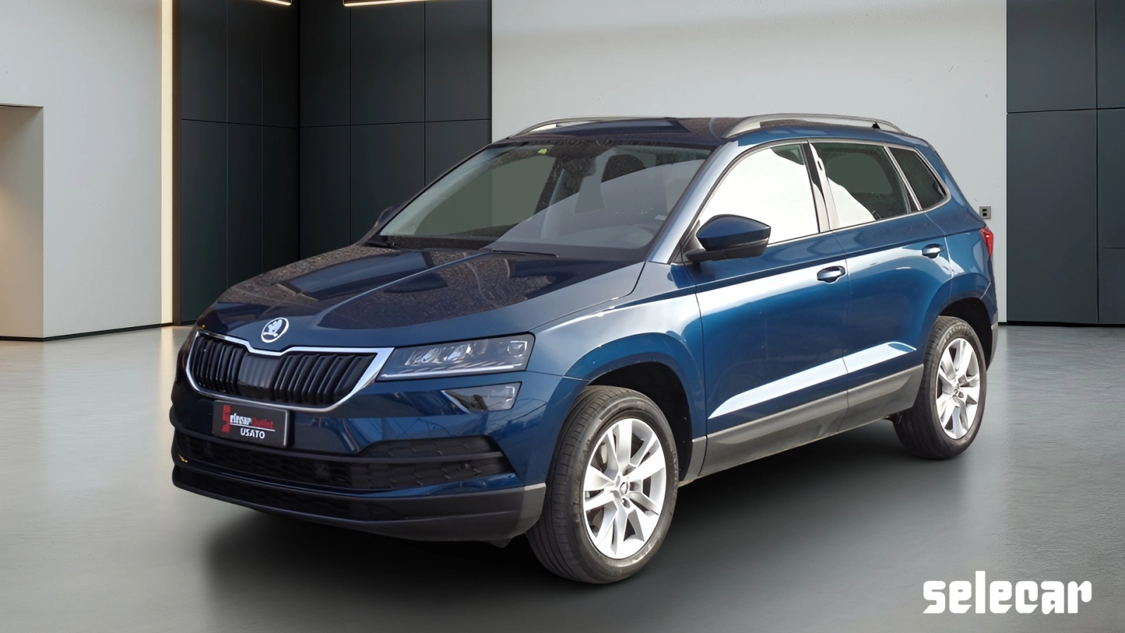 img-0 Skoda Karoq Skoda SE-U73861