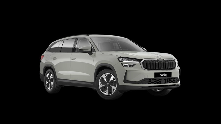 img-0 Skoda Kodiaq Skoda AU-N193261