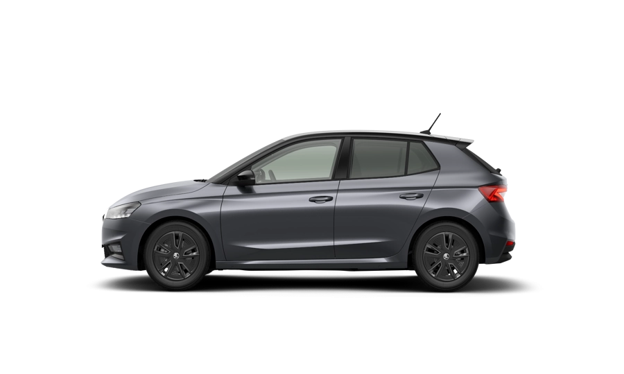 img-1 Skoda FABIA Skoda AU-N189920