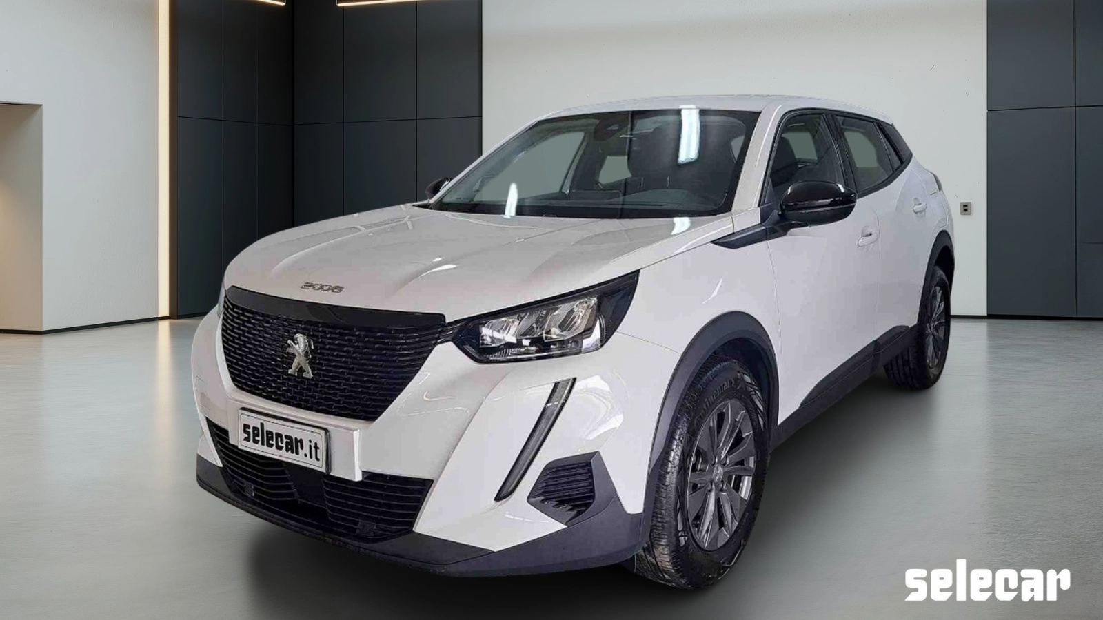 img-0 Peugeot 2008 Peugeot SE-U78601