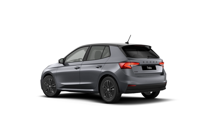 img-2 Skoda FABIA Skoda AU-N189916