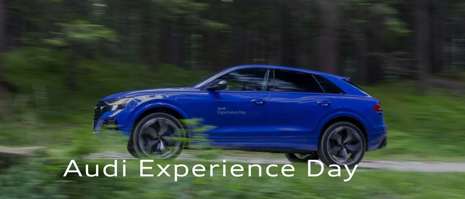 AUDI EXPERIENCE Day - Novara
