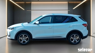Mg ZS - SE-U80116 