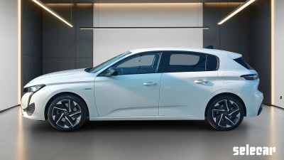 Peugeot 308 - SE-U79974 