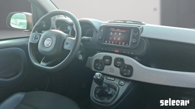 Fiat Panda - SE-U79963 