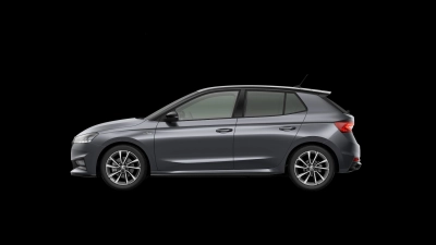 Skoda FABIA - AU-N189975 